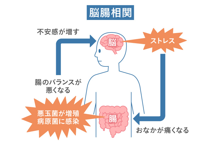 妊娠しやすい 体質を作るには？心身と健康を守るキーワードは腸【助産師監修】 – はぐふる